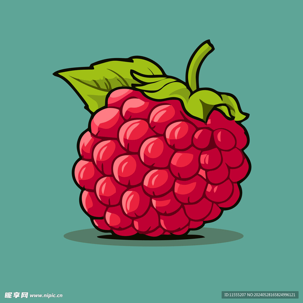 手绘树莓水果矢量插图卡通美食