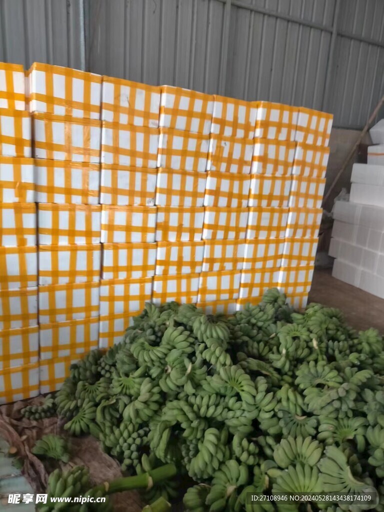   香焦    广西小米蕉  