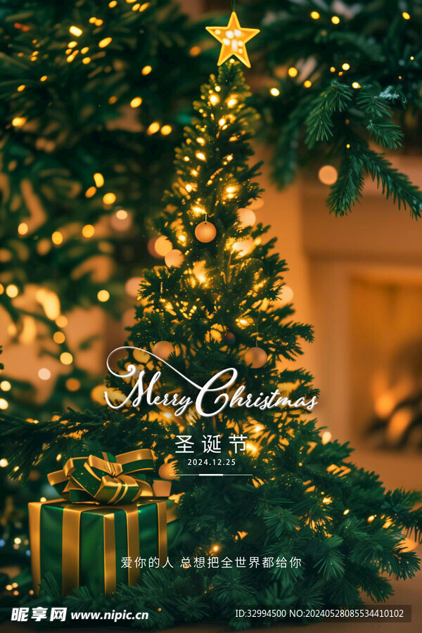 圣诞节之夜海报