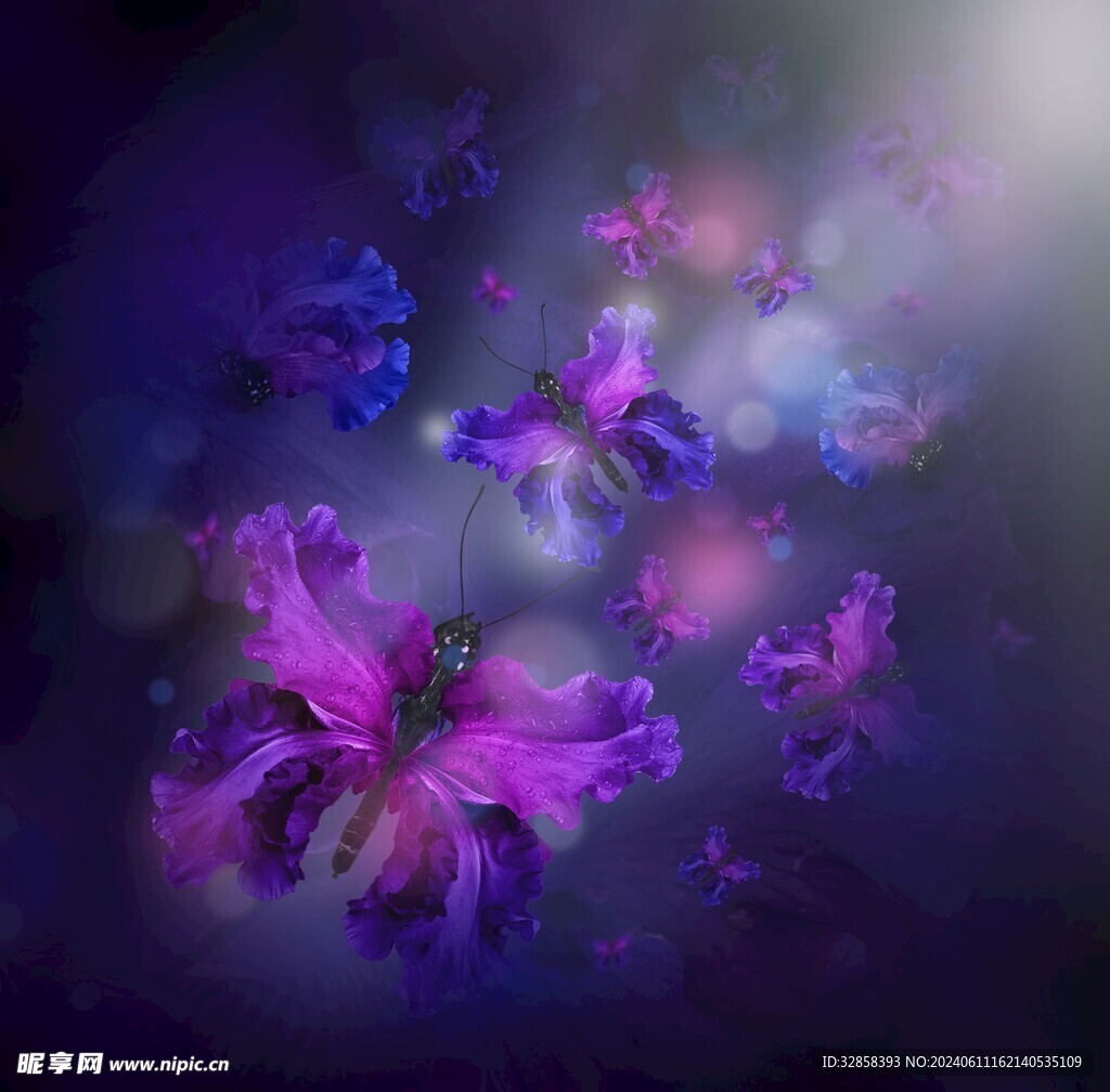 紫色蝴蝶抽象