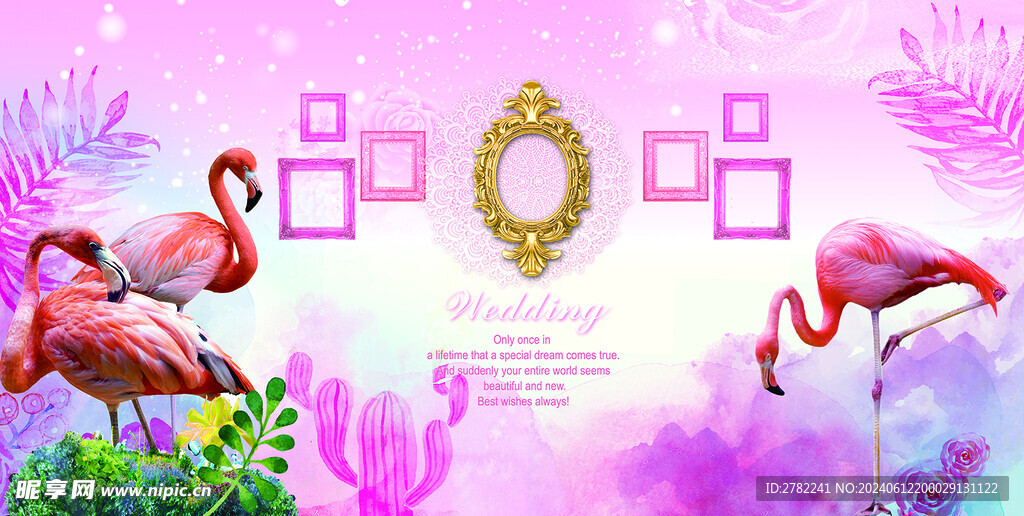 粉色火烈鸟照片培