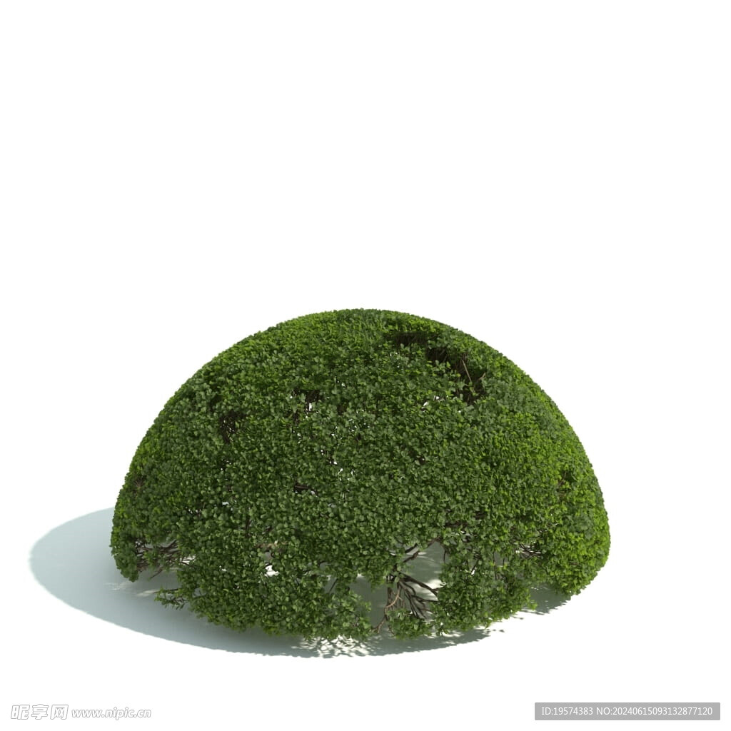 C4D模型 绿色植物