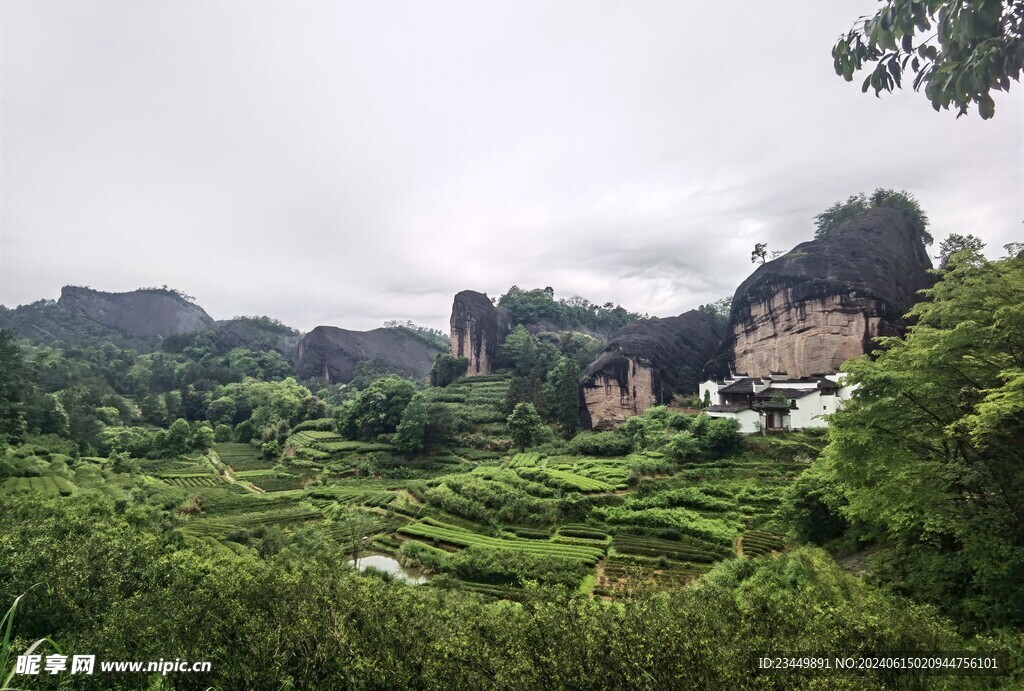 武夷山景区岩茶核心产区马头岩