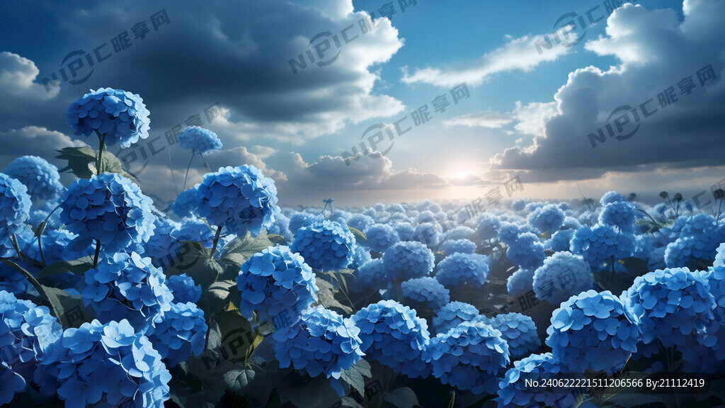 雾霾蓝天空 蓝色四叶草