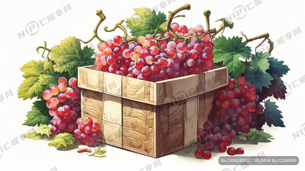 葡萄礼盒