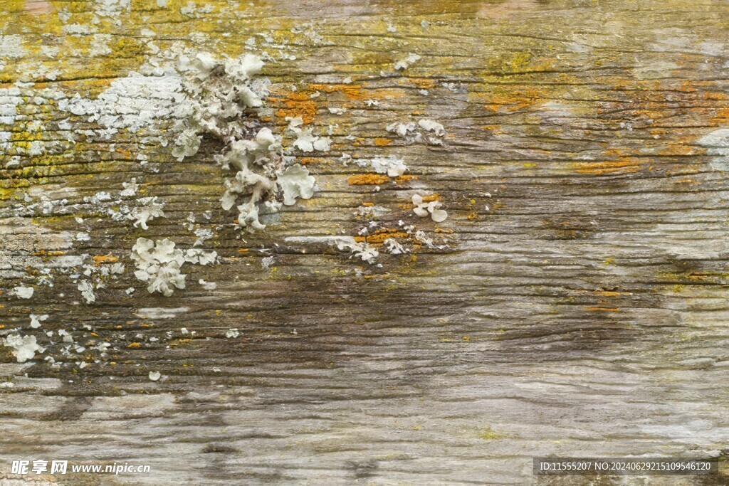 木板木纹背景纹理花纹素材