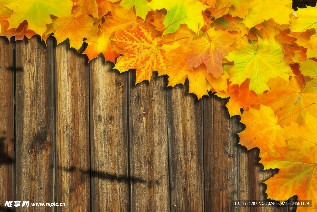 木板木纹背景纹理花纹素材