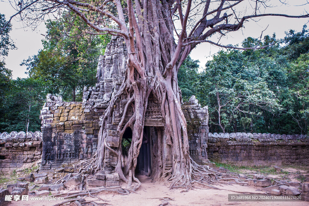 柬埔寨风光图片