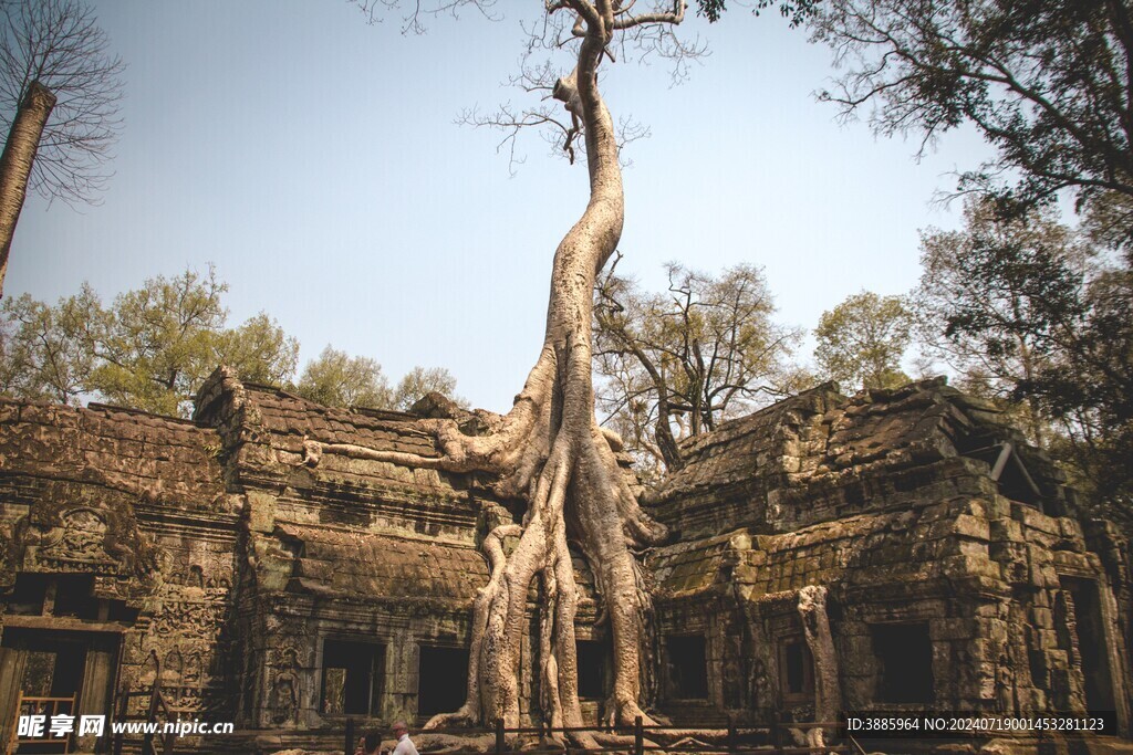  柬埔寨风光图片