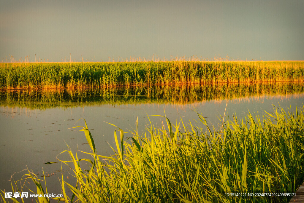 齐齐哈尔扎龙湿地风景