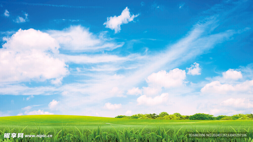 草地蓝天白云