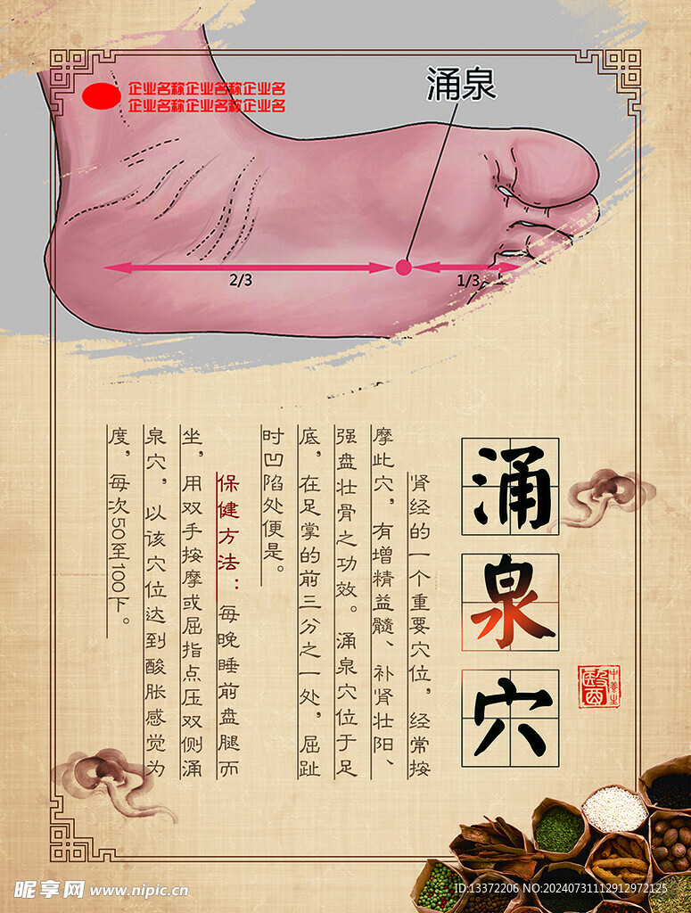 中医穴位涌泉穴