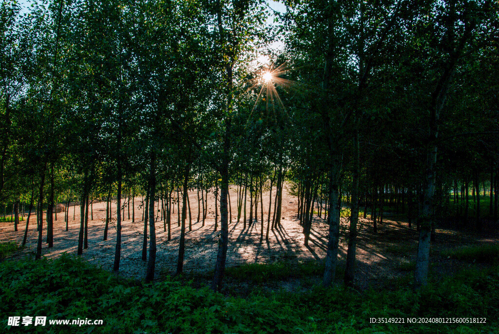 兰西县呼兰河风景
