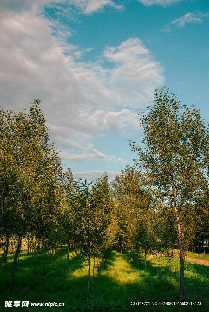 兰西县呼兰河风景