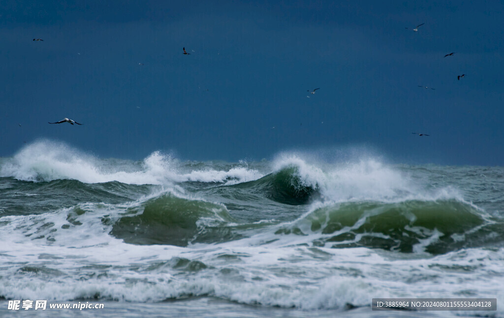 大海 浪花 海边 海浪 海水图