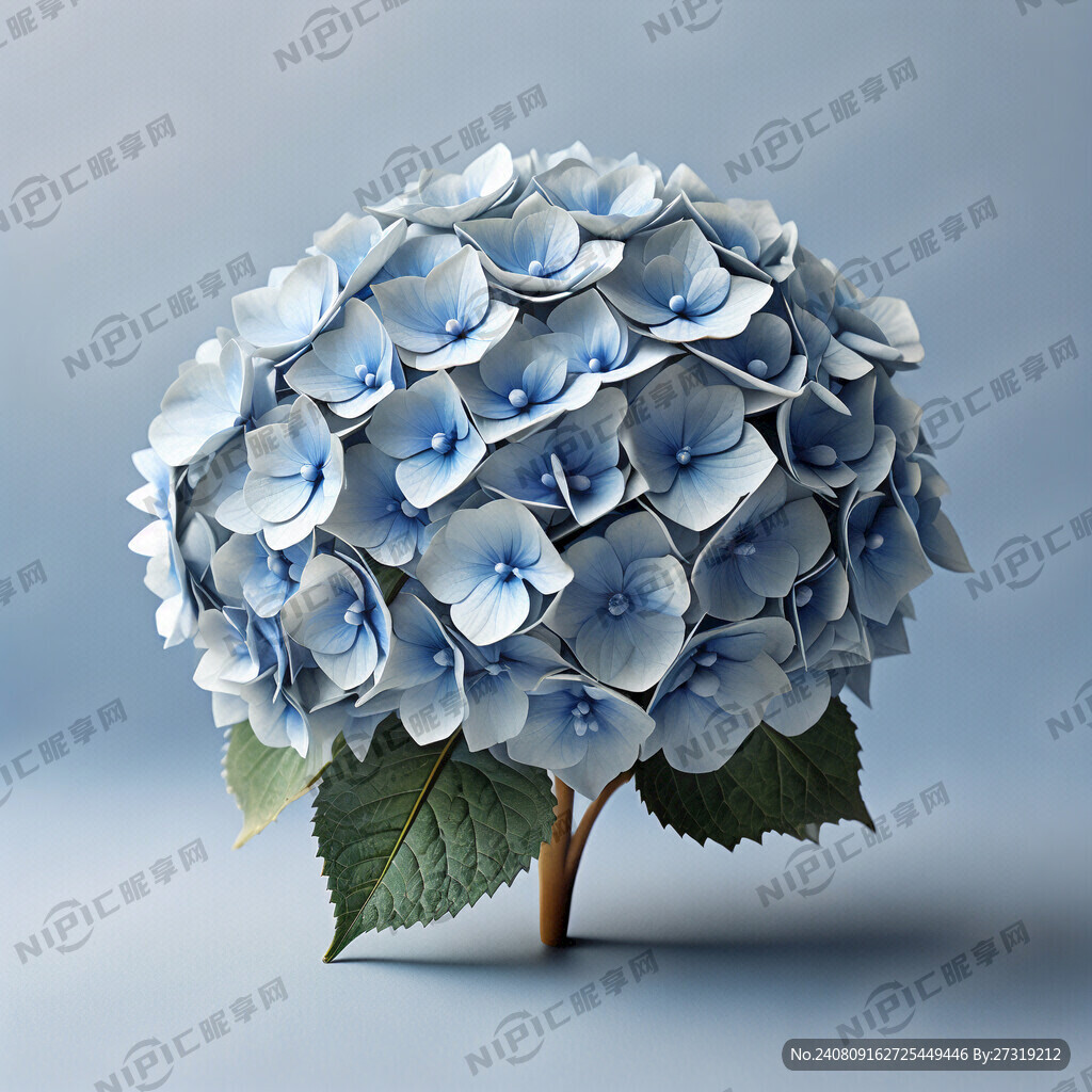 一朵绣球花 俏皮可爱 淡蓝色