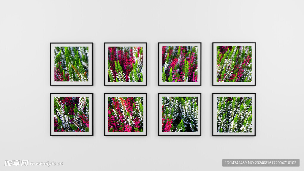 白色墙壁装饰画