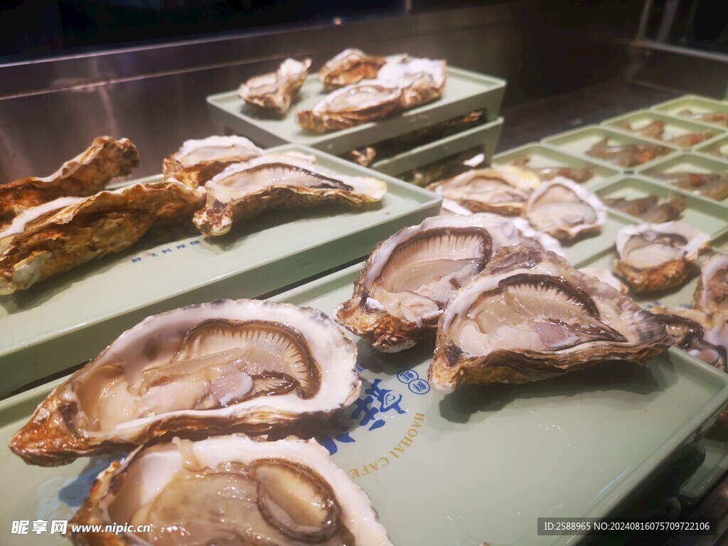 生蚝