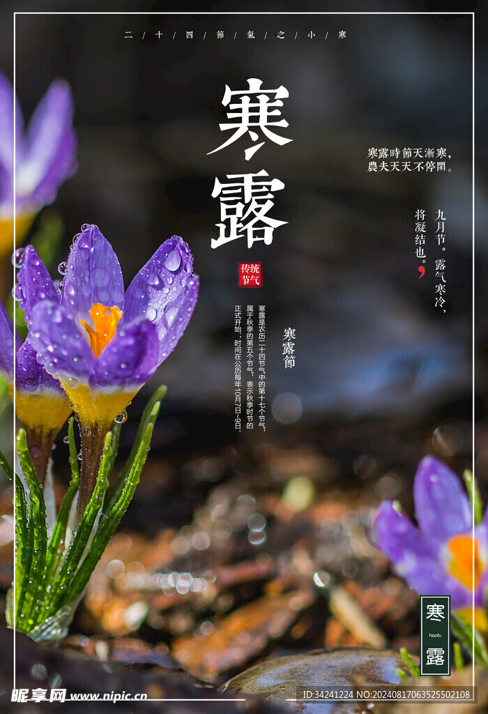 寒露二十四节气海报素材背景