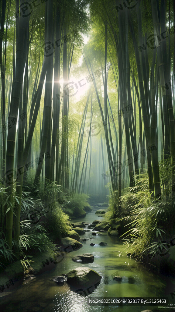 清凉的竹林 薄雾缭绕