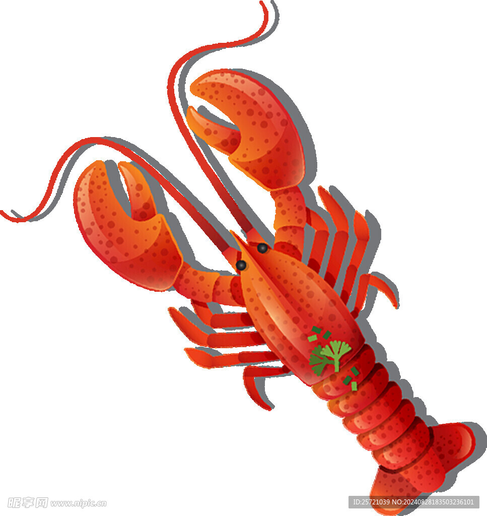 龙虾卡通