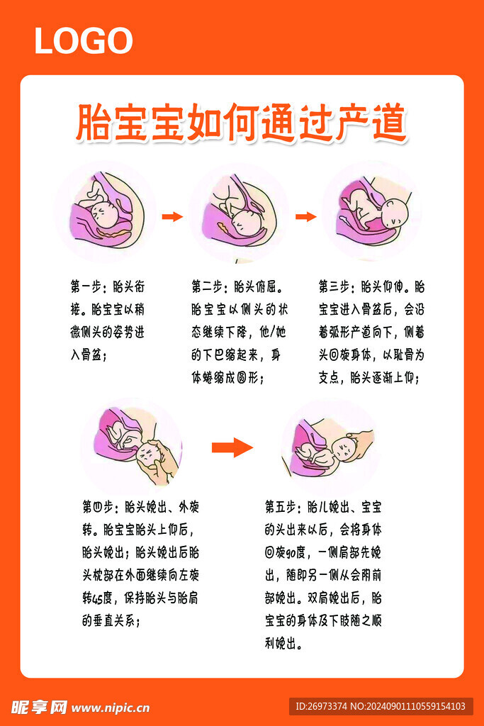 胎宝宝如何通过产道