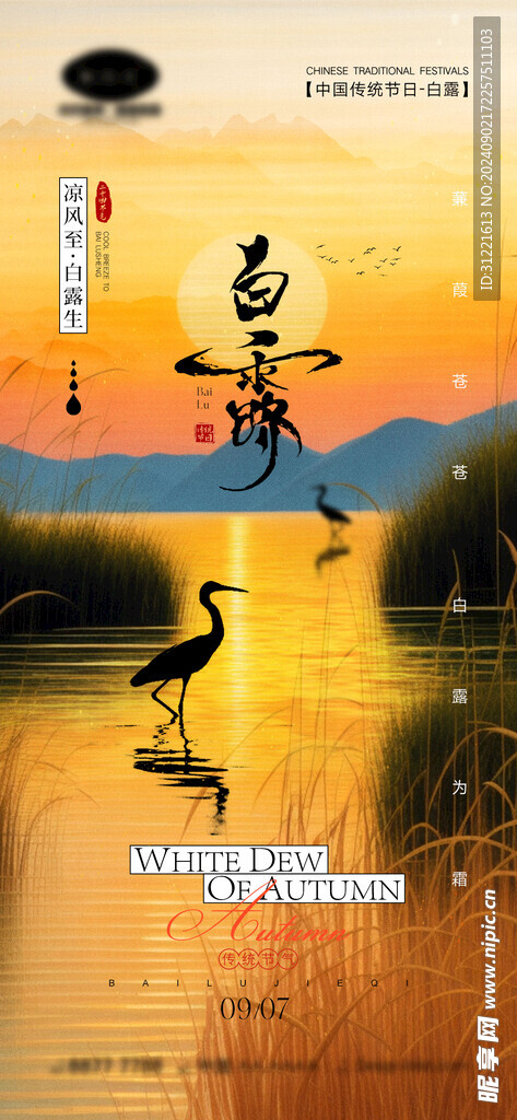 白露节气海报