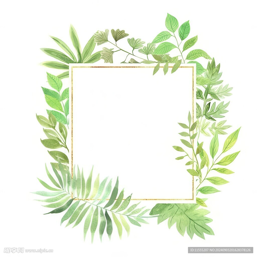 叶片树叶的边框水彩画风格插画