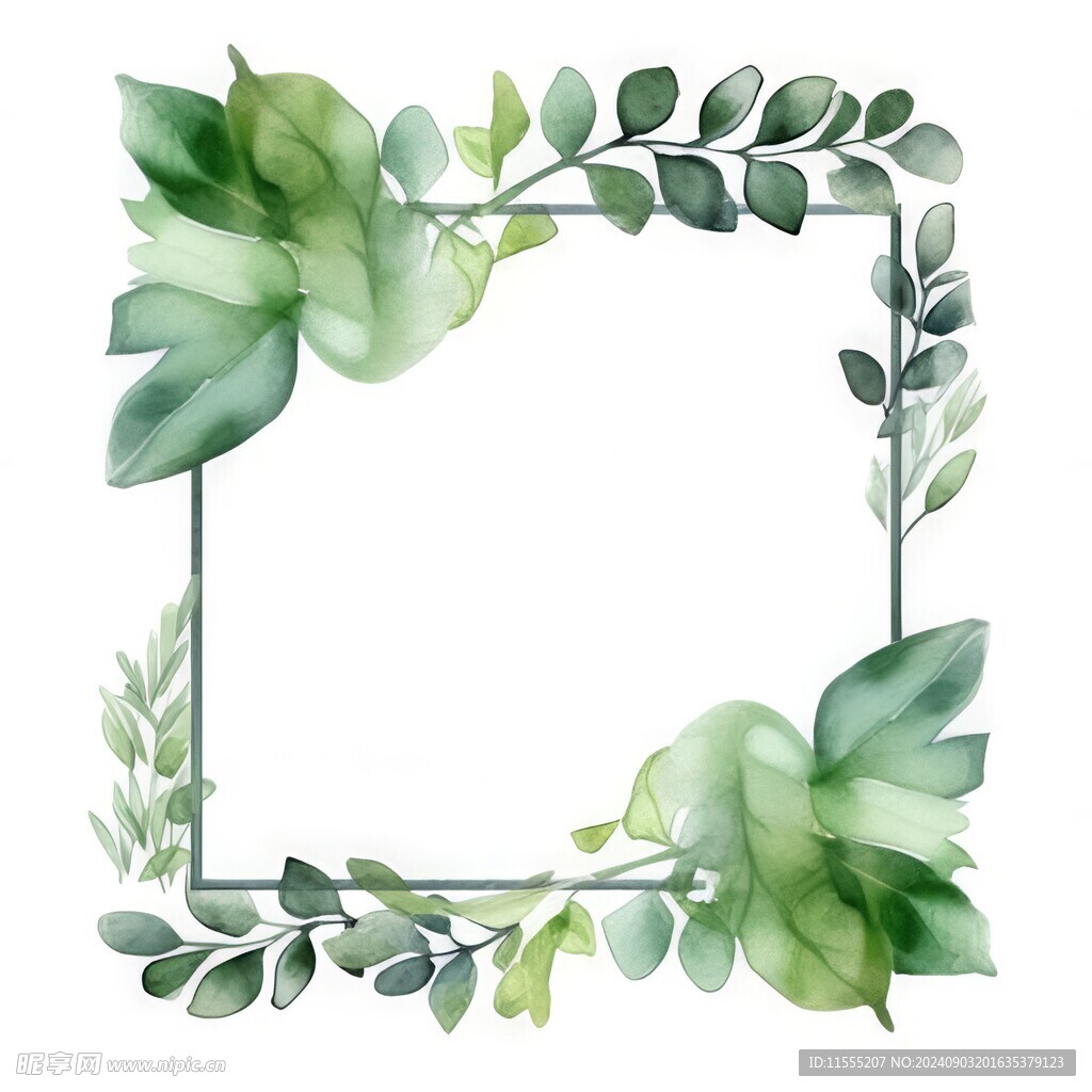 叶片树叶的边框水彩画风格插画