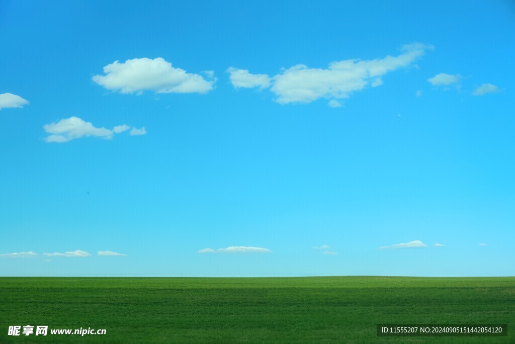 户外景色草地蓝天白云背景图