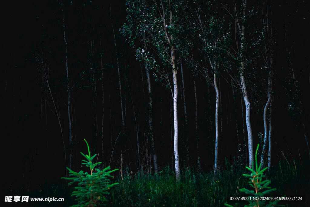 兰西拉哈山公园风景