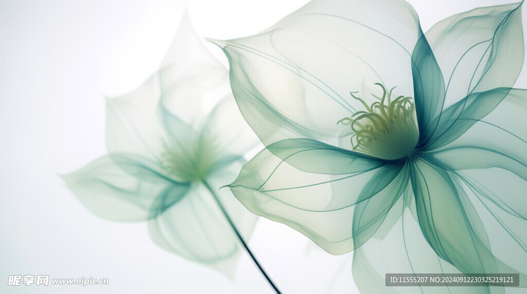 清爽鲜花花瓣花朵露珠背景图