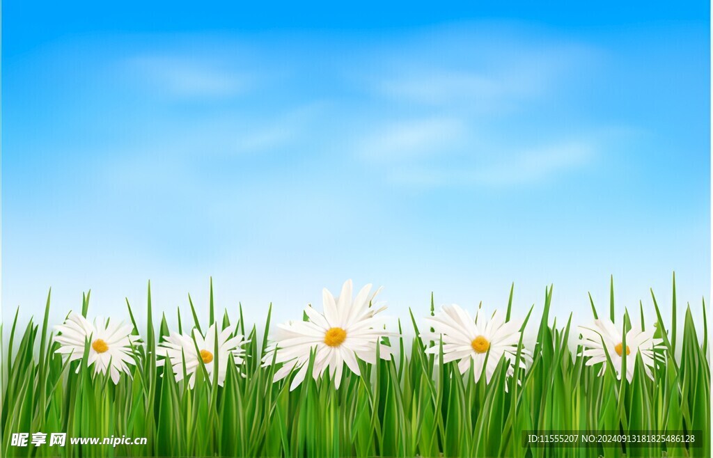 春光明媚户外风景鲜花草地