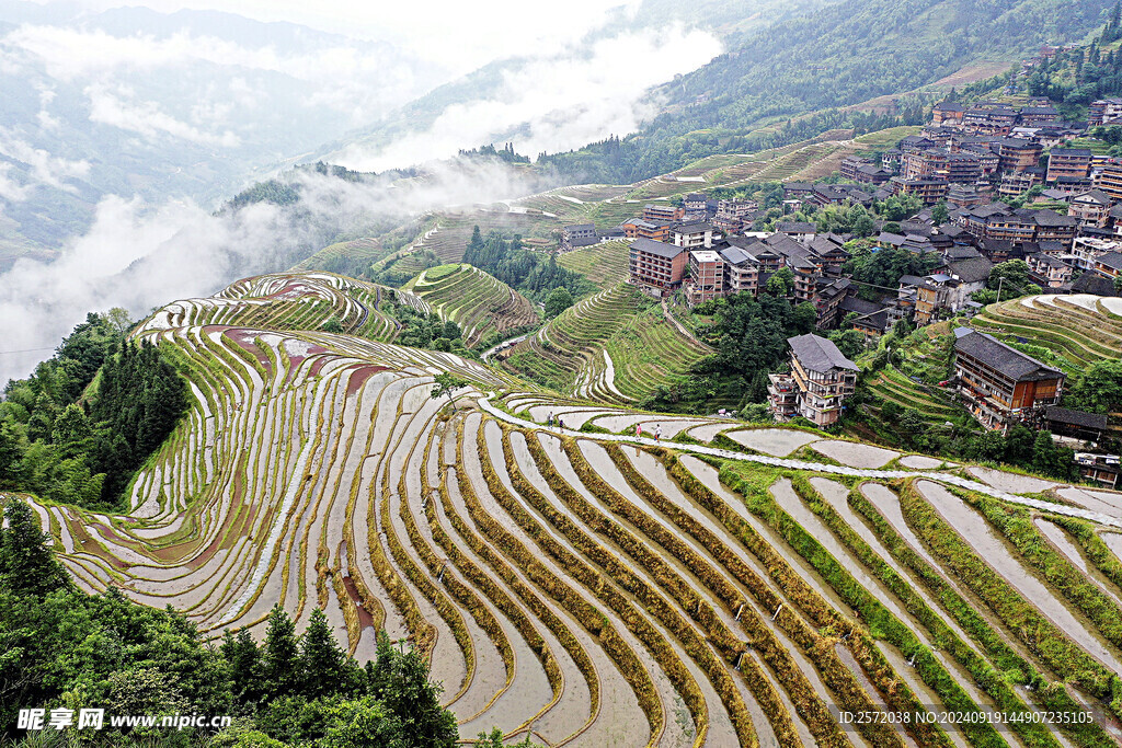 龙脊梯田