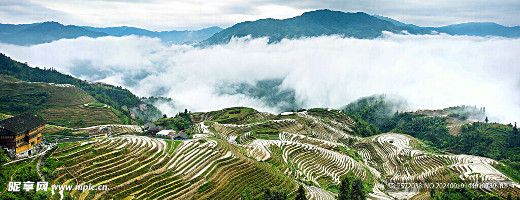 龙脊梯田