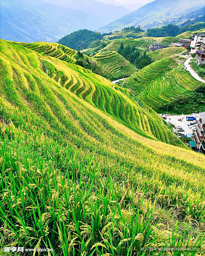龙脊梯田
