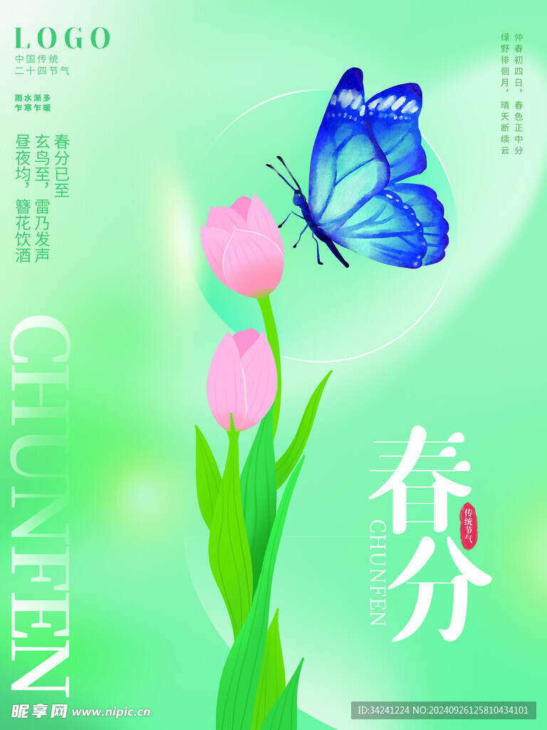 春分节气宣传海报展板