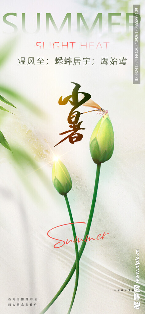 小暑节气宣传海报展板