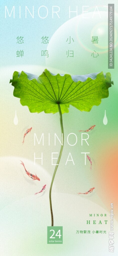 小暑节气宣传海报展板