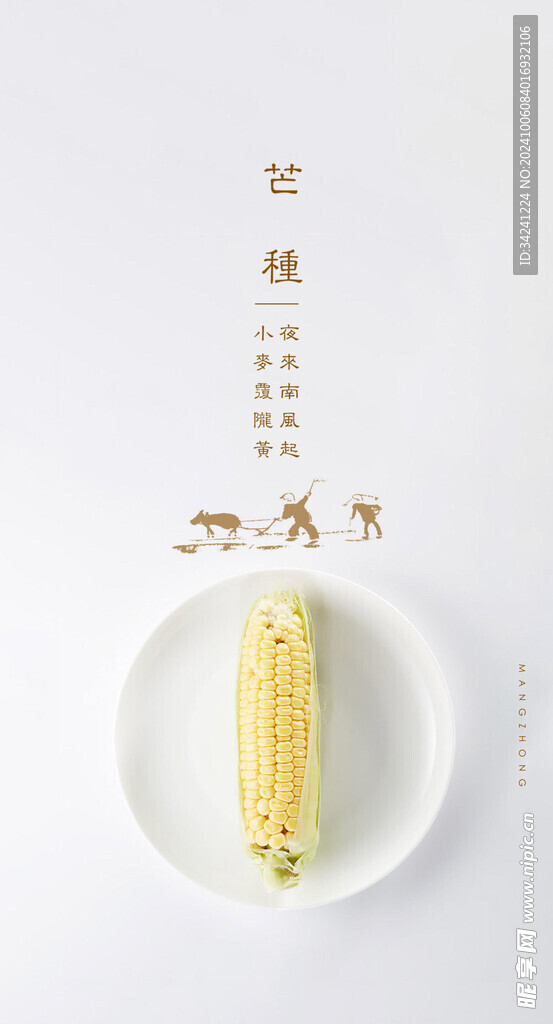 芒种节气宣传海报展板