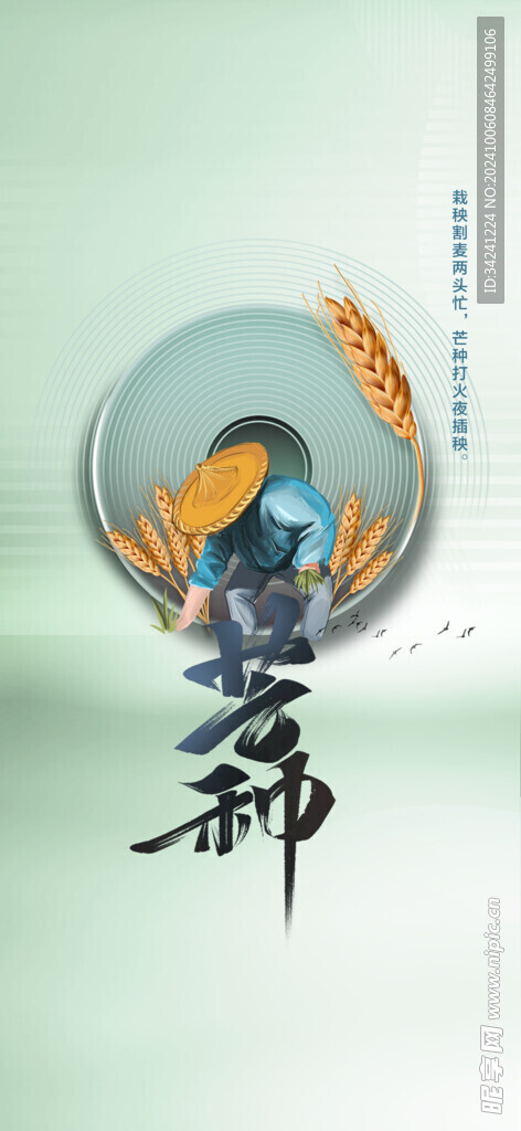 芒种节气宣传海报展板
