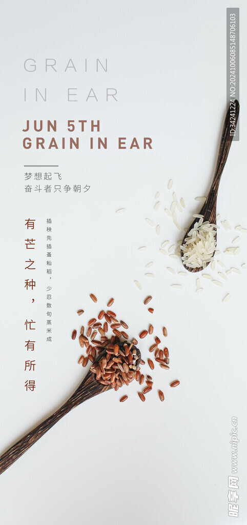 芒种节气宣传海报展板