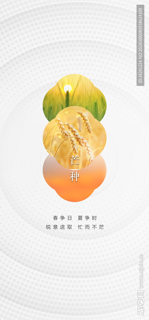 芒种节气宣传海报展板