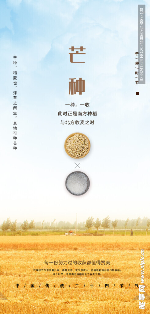 芒种节气宣传海报展板