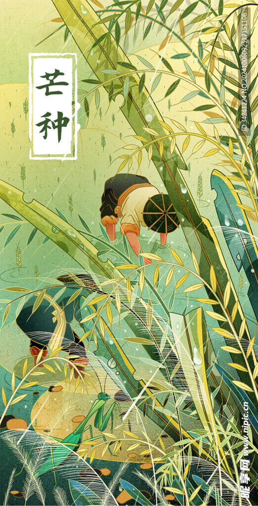 芒种节气宣传海报展板