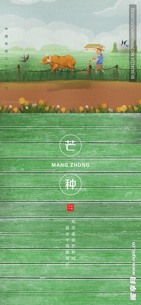 芒种节气宣传海报展板