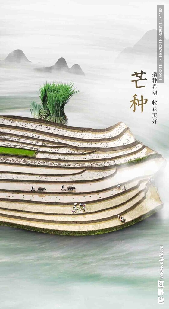  芒种节气宣传海报展板