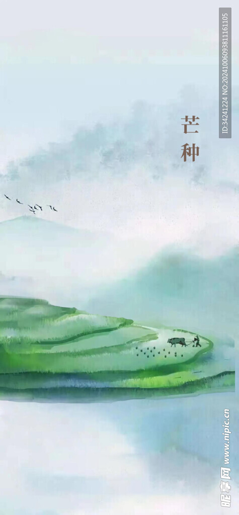 芒种节气宣传海报展板