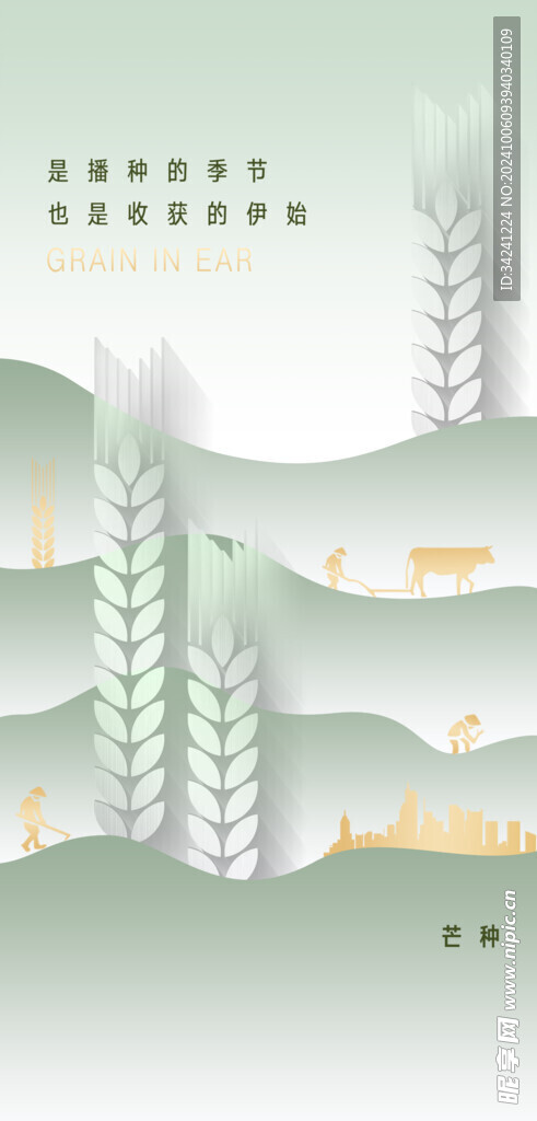 芒种节气宣传海报展板