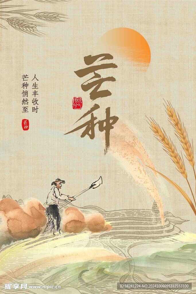 芒种节气宣传海报展板